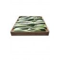 5 Kg of Canarian Aloe Vera Leaves 12 years 