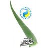 Aloe Vera Hoja Fresca Penca Zabila 12 años