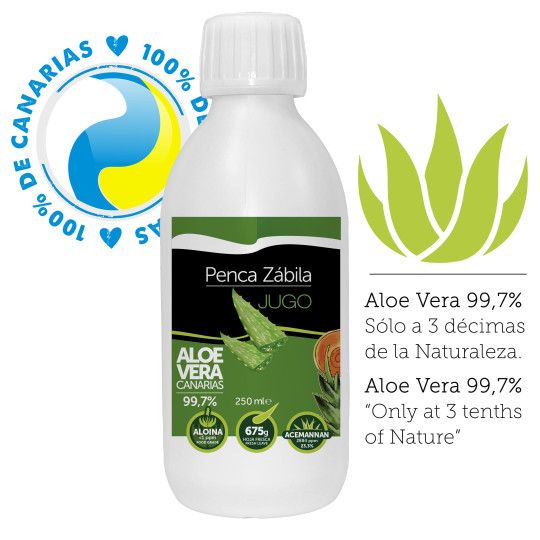 Jugo Aloe Vera Fresco Penca Zabila de Canarias Jugo Aloe Vera Fresco Penca Zabila de Canarias