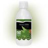 Jugo Aloe Vera Penca Zabila de Canarias Jugo Aloe Vera Penca Zabila de Canarias