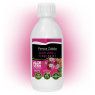 Aloe Vera + Canarian Tuno Prickly Pear 99.7% 250 ml 1 - Penca Zábila 