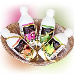 Cesta Regalo Aloe Vera